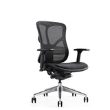 F94-101 Ergonomic Chair - All Mesh - Hood Seating